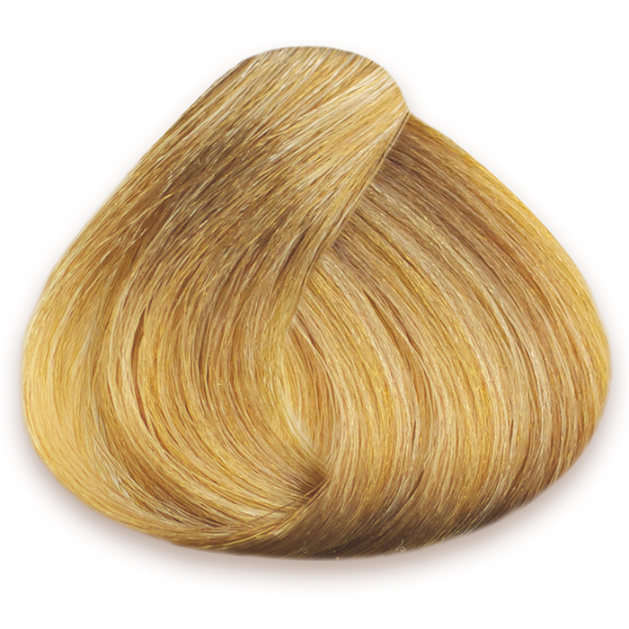 Beautynet Store